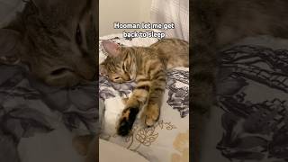 Hooman Let Me Get Back To Sleep
