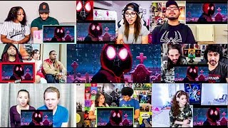 Spider-Man Into The Spider-Verse - Official Teaser Trailer Reactions Mashup