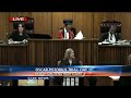 Oscar Pistorius Trial: Monday 17 March 2014, Session 1