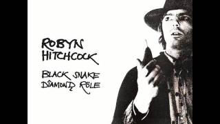 Watch Robyn Hitchcock It Was The Night video