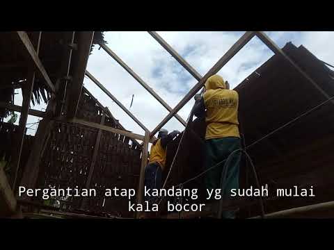 Cara Pasang atap Nipa Agar Tahan lama