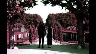 Watch Clapatria Free From Pain video