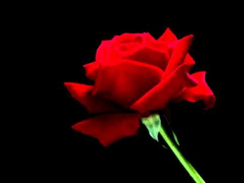 Masti Dil De Diya Hai With English Lyrics
