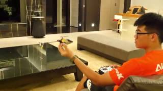Trex 150X Test Flight 02