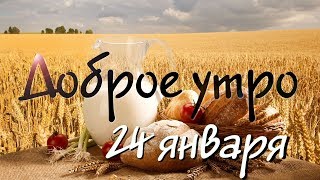 Доброе Утро - Выпуск 59 (24.01.2019)