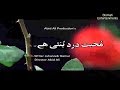 Mohabbat dard bunti hai epi 25 Abid Ali # Rabia Abid Ali Momina khan drama  MDBH