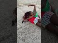 Girl fights black girl fig