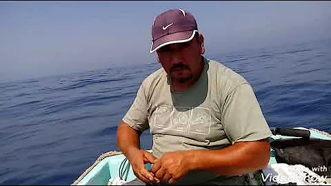 Comment pêcher à la palangrotte ?