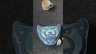 Merch At The Cougar Corner Bookstore Is Always Catching Our Eye