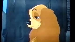 Lady And The Tramp 1955 - Bella Notte