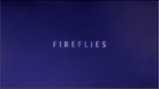 Watch Nick Cave  The Bad Seeds Fireflies video