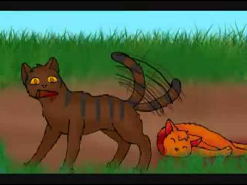 Нарисованный огнезвёзд коты воители Нарисованный огнезвёзд коты воители