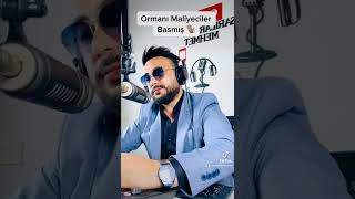 Ormanı Maliyeciler Basmış 🦅🐒🐢😂