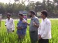 From genes to farmers fields: waterproof rice set to make waves in South Asia