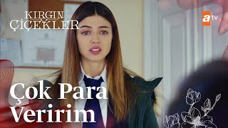 Defne Gerçek Annesini Arıyor... - Kırgın Çiçekler 69.Bölüm
