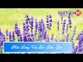 Phải Lòng Con Gái Bến Tre Karaoke || HD || Beat chuẩn