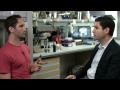 Is Vaping Healthier than Smoking? | OOO with Brent Rose