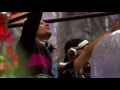 Mister Jam - Golden People ft JACQ King TEF Official Video