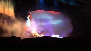 Voyage Of The Little Mermaid - Ariel Becomes A Human