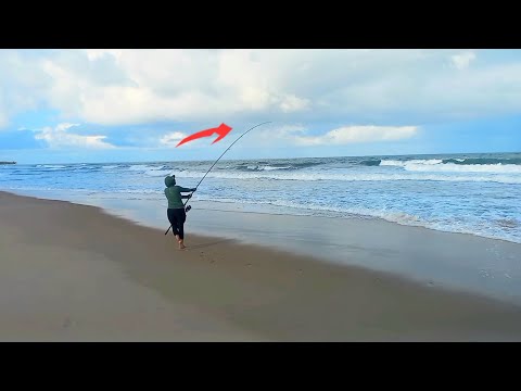 WHEN THE ROD BENT, SHE ASKED FOR HELP, BECAUSE SHE DIDN'T KNOW WHAT WEIGHED SO MUCH! Beach Fishin... WHEN THE ROD BENT, SHE ASKED FOR HELP, BECAUSE SHE DIDN'T KNOW WHAT WEIGHED SO MUCH! Beach Fishin...