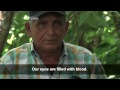 Mysterious Illness Kills Thousands of Central American Sugar Cane Workers