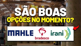 Alerta Diretores Vendendo As Ações Da Irani? Bbdc4 Ou Bbdc3? Leve3 Mahle Metal Leve E Dividendos