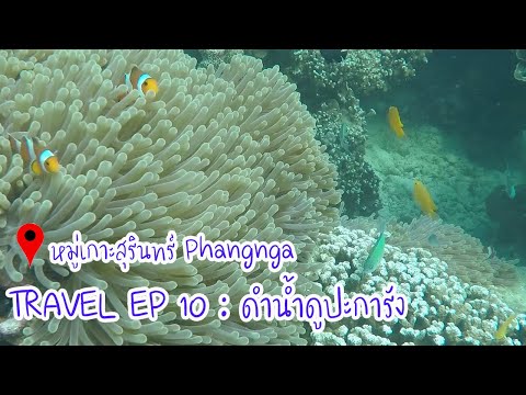 TRAVEL EP 10 : ดำน้ำดูปะการัง หมู่เกาะสุรินทร์ Snorkeling Surin Islands Phangnga in Thailand