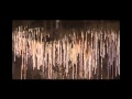 chinese_5.mp4