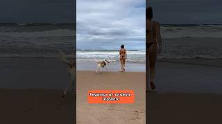 Nordeste De Brasil