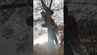 Come Do Tree Climbing With Me