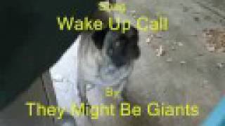 Watch They Might Be Giants Wake Up Call video