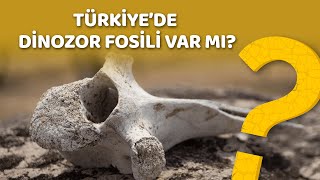 Türkiyede Dinozor Fosili Var Mı?