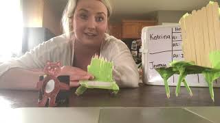 Building Baby Bear Chair