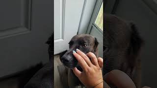 Snoot