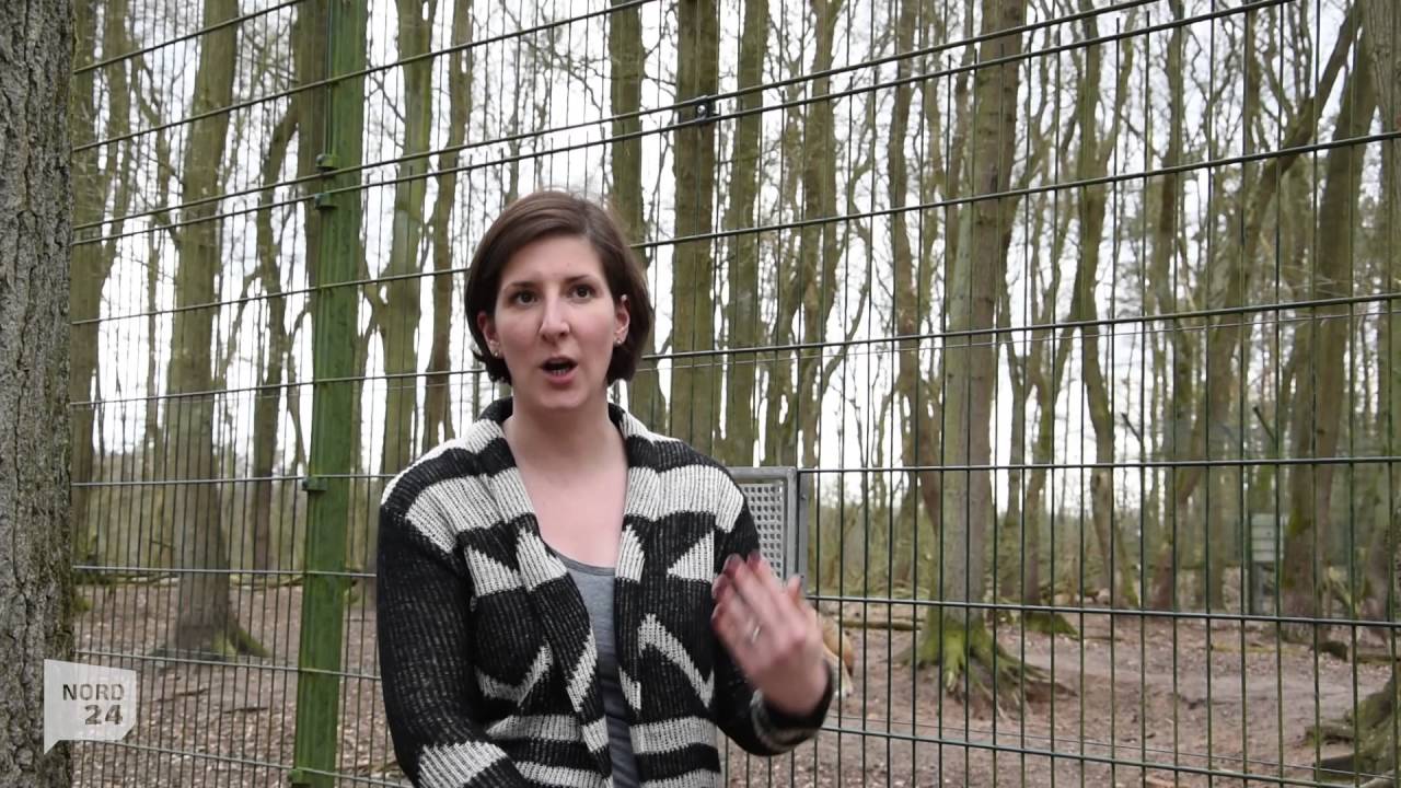Alle Videos