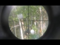Paintball Sniper Scope Camera - Living Legends 6