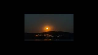 Tarkan Coşgun - Veda