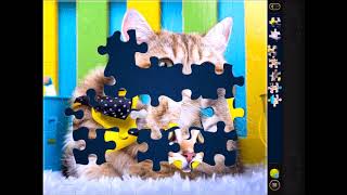 Magic Puzzles Jigsaw Puzzle App Game Cat With Bowtie Ios Mobile Gameplay