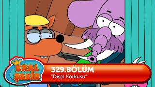 Kral Şakir 329. Bölüm - Dişçi Korkusu