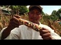 Subsistence