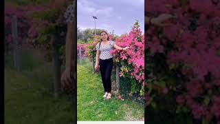 S.facebookshare15Uyul2Gk7