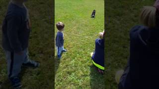 Kid Copying Dog