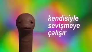 31 Çekmek Sanattır