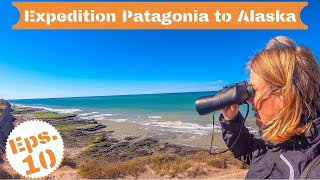 S2 - Eps. 10 Incredible Wildlife In Argentina