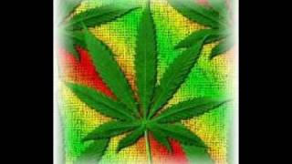 Watch Betagarri Legalize It video