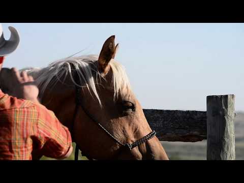 Moose Mountain Video