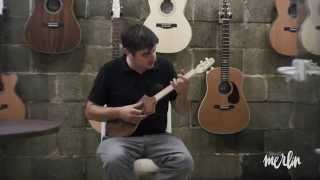 Merlin Mahogany SG Dulcimer Guitar