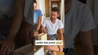 Spider Box Prank
