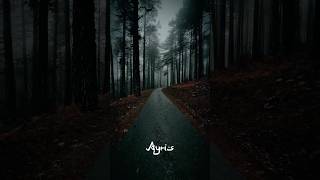 Ayris - The Last Time Ft. Amonra Music