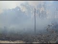 Title:selling dream Description:Riau has been lose the forest 3,7 million hectare only in 17 years, caused by palm oil plantations and timber plantations (HTI). <br />Palm oil and timber plantations also has been contribute to increasing ecological disaster and destroying indigenous people's livelihood.